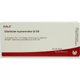 GLANDULAE SUPRARENALES GL D 8 Ampollas, 10X1 ml