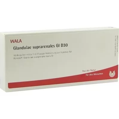 GLANDULAE SUPRARENALES GL D 30 Ampollas, 10X1 ml