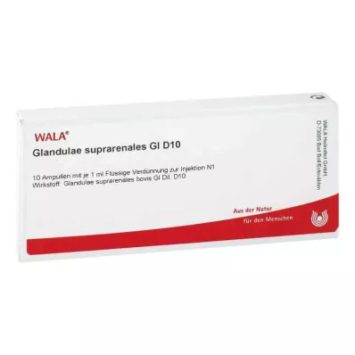 GLANDULAE SUPRARENALES GL D 10 ampollas, 10X1 ml