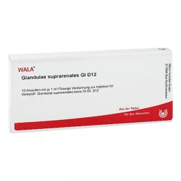 GLANDULAE SUPRARENALES GL D 12 Ampollas, 10X1 ml