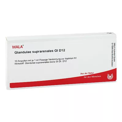 Glandulae suprarenalis GL D 12 ampollas, 10X1 ml