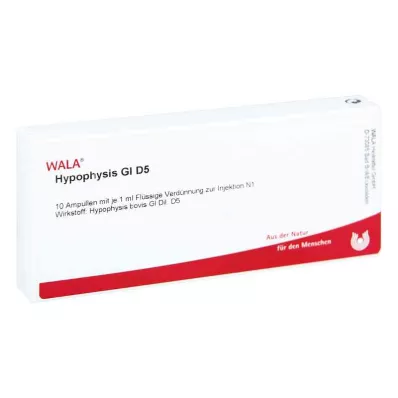 HYPOPHYSIS GL D 5 ampollas, 10X1 ml