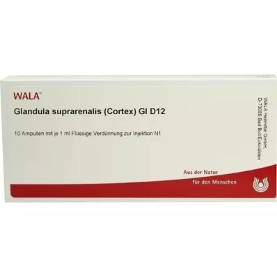 GLANDULA SUPRARENALES corteza GL D 12 ampollas, 10X1 ml