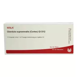 GLANDULA SUPRARENALES corteza GL D 12 ampollas, 10X1 ml