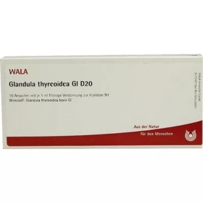 GLANDULA THYREOIDEA GL D 20 Ampollas, 10X1 ml
