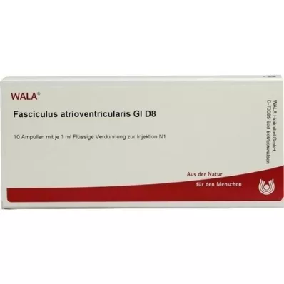 FASCICULUS atrioventricularis GL D 8 ampollas, 10X1 ml