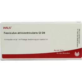 FASCICULUS atrioventricularis GL D 8 ampollas, 10X1 ml