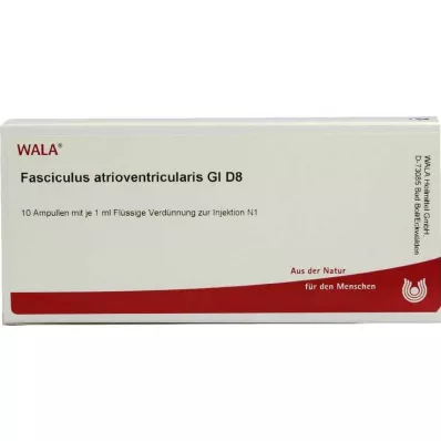 FASCICULUS atrioventricularis GL D 8 ampollas, 10X1 ml