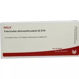 FASCICULUS atrioventricularis GL D 15 ampollas, 10X1 ml