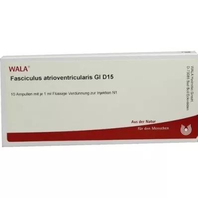FASCICULUS atrioventricularis GL D 15 ampollas, 10X1 ml