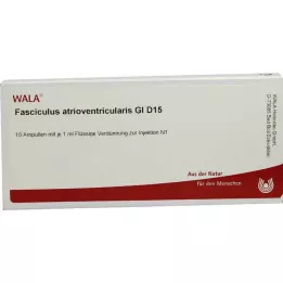 FASCICULUS atrioventricularis GL D 15 ampollas, 10X1 ml