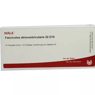 FASCICULUS atrioventricularis GL D 15 ampollas, 10X1 ml FASCICULUS atrioventricularis GL D 15 ampollas, 10X1 ml