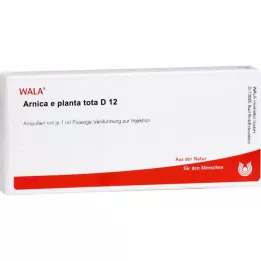 ARNICA E Planta tota D 12 Ampollas, 10X1 ml