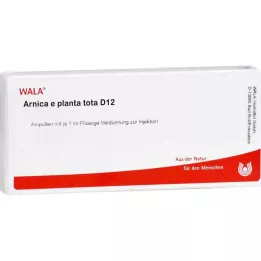 ARNICA E Planta tota D 12 Ampollas, 10X1 ml