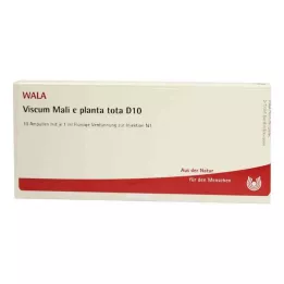 VISCUM MALI e planta tota D 10 ampoules, 10X1 ml