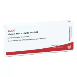 VISCUM MALI e planta tota D 12 Ampollas, 10X1 ml