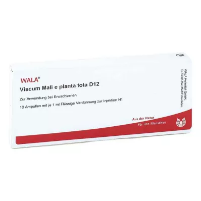 VISCUM MALI e planta tota D 12 Ampollas, 10X1 ml