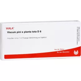 VISCUM PINI e planta tota D 6 Ampollas, 10X1 ml