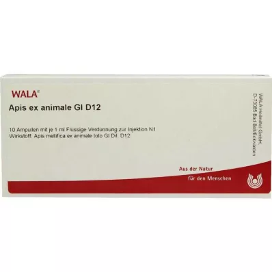 Apis ex animale GL D 12 ampollas, 10X1 ml