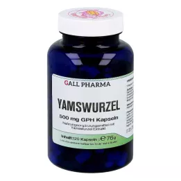 YAMSWURZEL 500 mg GPH Cápsulas, 120 uds