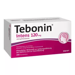 TEBONIN comprimidos recubiertos intensivos de 120 mg, 200 unidades