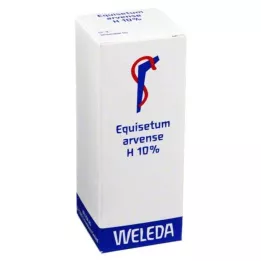 EQUISETUM ARVENSE H 10% linimento oleoso, 50 ml