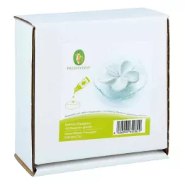 DUFTSTEIN Plato de cristal Frangipani transparente, 1 ud