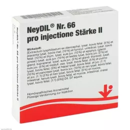 NEYDIL No.66 pro injectione St.2 Ampollas, 5X2 ml