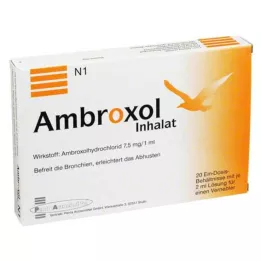 AMBROXOL Solución inhalable para nebulizador, 20X2 ml
