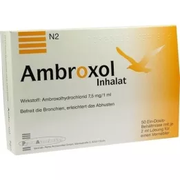 AMBROXOL Solución inhalable para nebulizador, 50X2 ml