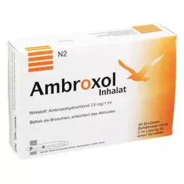 AMBROXOL Solución inhalable para nebulizador, 50X2 ml