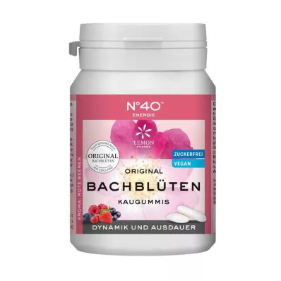 ENERGIE KAUGUMMI según el Dr.Bach, 40 piezas ENERGIE KAUGUMMI según el Dr.Bach, 40 piezas