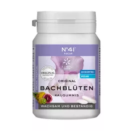 KONZENTRATION Chicle según Dr.Bach, 40 uds