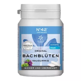 SELBSTVERTRAUEN Chicle según Dr.Bach, 40 uds