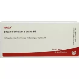 SECALE CORNUTUM E grano D 6 Ampollas, 10X1 ml