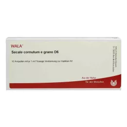 SECALE CORNUTUM E grano D 6 Ampollas, 10X1 ml