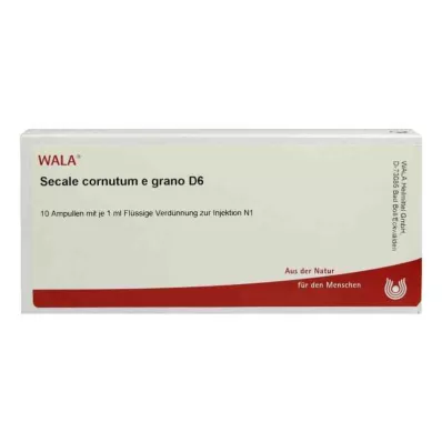 Secale Cornutum E Grano D6 ampollas (10x1 ml) Secale Cornutum E Grano D6 ampollas (10x1 ml)
