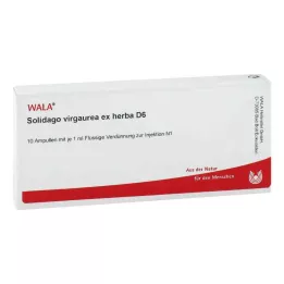 SOLIDAGO VIRGAUREA ex herba D 6 Ampollas, 10X1 ml