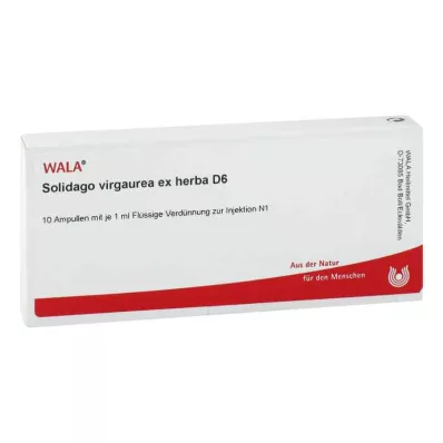 Solidago Virgaurea ex herba D6 ampollas (10x1 ml)