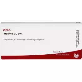 TRACHEA GL D 6 Ampollas, 10X1 ml