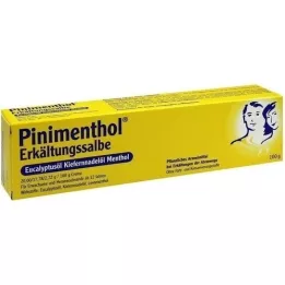 PINIMENTHOL Ungüento para el resfriado Eucal./Pino./Menth., 100 g