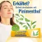 PINIMENTHOL Ungüento para el resfriado Eucal./Pino./Menth., 100 g