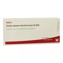 TUNICA mucosa intestini tenuis GL D 30 ampollas, 10X1 ml