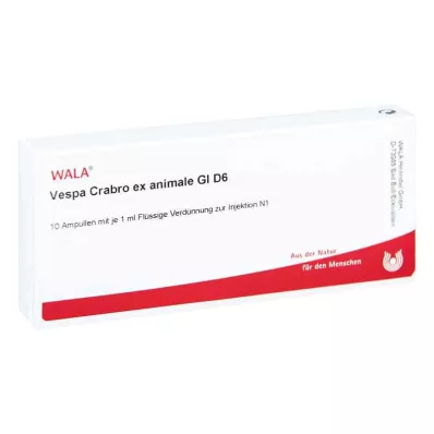 Vespa Crabro Ex Animale Gl D6 ampollas (10x1 ml)