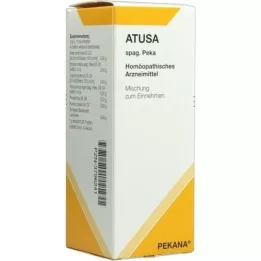 ATUSA zumo de spag.peka, 125 ml