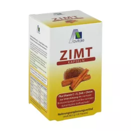 ZIMT KAPSELN 500 mg+Vitamina C+E, 120 uds