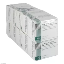 NEPHROTRANS 840 mg cápsulas con recubrimiento entérico, 500 unidades