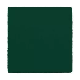 MULLKOMPRESSEN 10x10 cm 12x verde, 100 uds