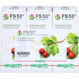 FS 53 Dr.Siegerth H líquido, 3X100 ml