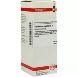 EQUISETUM ARVENSE D 6 Dilución, 50 ml